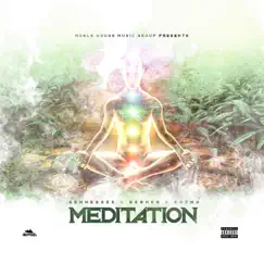 Meditation (feat. Berner & Cozmo) - Single by Gennessee album reviews, ratings, credits