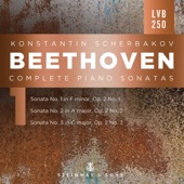 Beethoven: Complete Piano Sonatas, Vol. 1 artwork