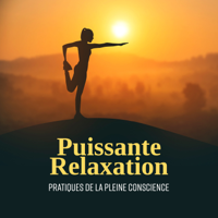 Various Artists - Puissante Relaxation: Pratiques de la pleine conscience artwork