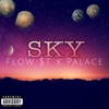 Sky - Single