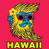 Hawaii 5.0 artwork