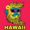Hawaii 5.0 artwork