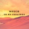 In My Feelings - NESCO lyrics