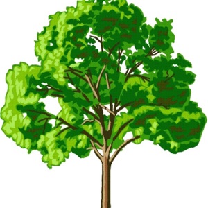 PART #1 THE TREES OF EDEN-THE GARDEN OF GOD ---VS---THE GARDEN OF EDEN--THE LORD GOD -PLANTED A GARDEN EASTWARD IN EDEN AND THERE HE PUT MAN