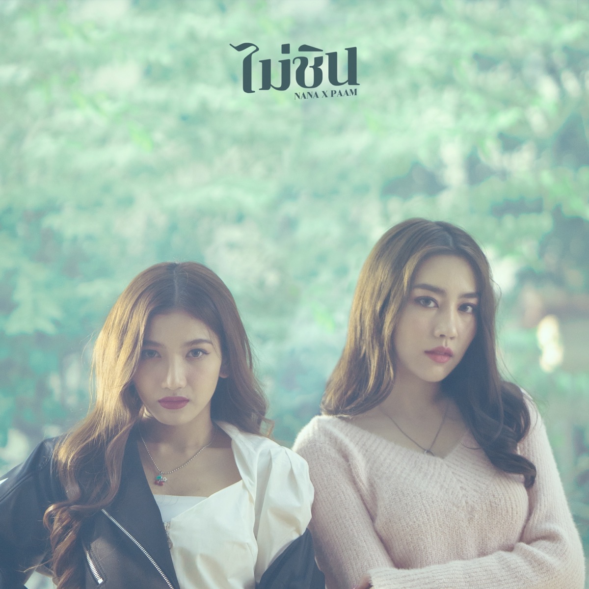 나의 하루 (Feat. Jinhwan) [แมวตัวโปรด Korean Version] - Single By Nana On Apple  Music