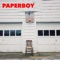 Paperboy artwork