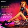 Selected Grooves, Vol. 2: Special House Beats Selection