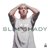 Slim Shady artwork