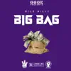 Big Bag - Single album lyrics, reviews, download