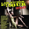 Les tubes du zouk 2009 (17 hits)
