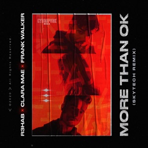 More Than OK (Skytech Remix) - Single