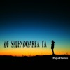 De Splendoarea Ta - Single
