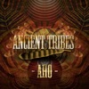 Aho - Advanced Energies