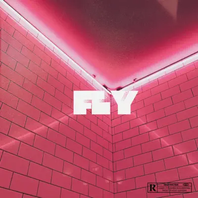 Fly - Single - Moments