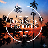 Various Artists - Poolside Grooves #5 artwork