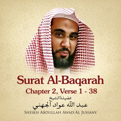 Download 76+ Contoh Surat Surat Al Baqarah Al Ghamdi Terbaru Gratis