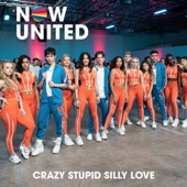 Crazy Stupid Silly Love artwork