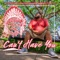 Can't Have You - Chief The Seminole lyrics