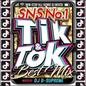 TIK & TOK -SNS NO.1 BEST MIX artwork