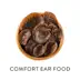 Comfort Ear Food album cover