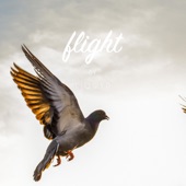 Flight artwork