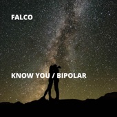 Know You / Bipolar artwork