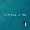 Calm Sea Sounds for Sleep album lyrics, reviews, download