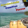 Atardeciendo con Cumbias y Porros (with Vários Artistas)
