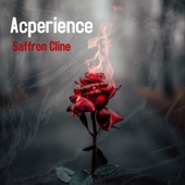 Acperience artwork