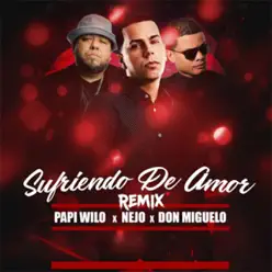 Sufriendo de Amor (Remix) [feat. Papi Wilo & Ñejo] - Single - Don Miguelo