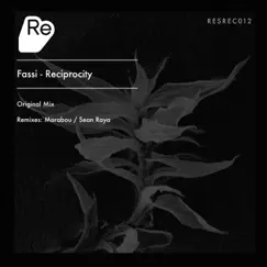 Reciprocity (Sean Raya Remix) Song Lyrics