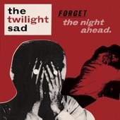 Forget the Night Ahead artwork