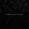 Demasiado Tarde (feat. Mc Ricky) - Daniel Vazquez lyrics