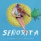 Señorita - Dallas String Quartet lyrics