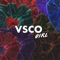 Vsco Girl - Round2Crew lyrics