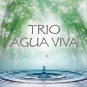 Trio Agua Viva artwork