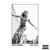 SHE IS COMING artwork