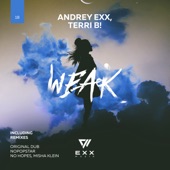 Weak (Misha Klein & No Hopes Remix) artwork