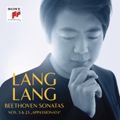Lang Lang plays Beethoven artwork