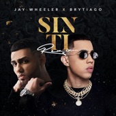 Sin Ti (Remix) artwork