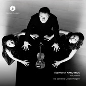 Piano Trio in C Minor, Op. 1 No. 3: I. Allegro con brio artwork