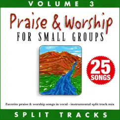 Praise & Worship For Small Groups (Whole Hearted Worship) [Volume 3] [Split Tracks] [feat. Lynn DeShazo] by Oasis Worship & Randy Rothwell album reviews, ratings, credits