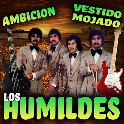 Morena La Causa Fuiste - Los Humildes | Shazam