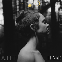 Ajeet - Lunar artwork