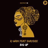 Big Up (feat. Shaydee) artwork