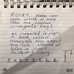 SUICYCLE cover art