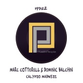 Calypso Madness (Club Mix) artwork
