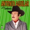 Las Nieves De Enero - Antonio Aguilar lyrics