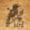 Bird - KIMDA lyrics