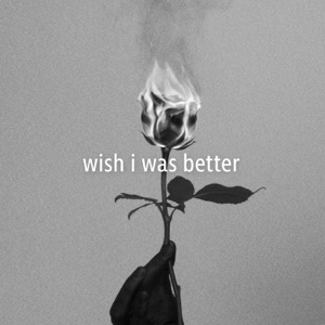 Wish I Was Better - Single